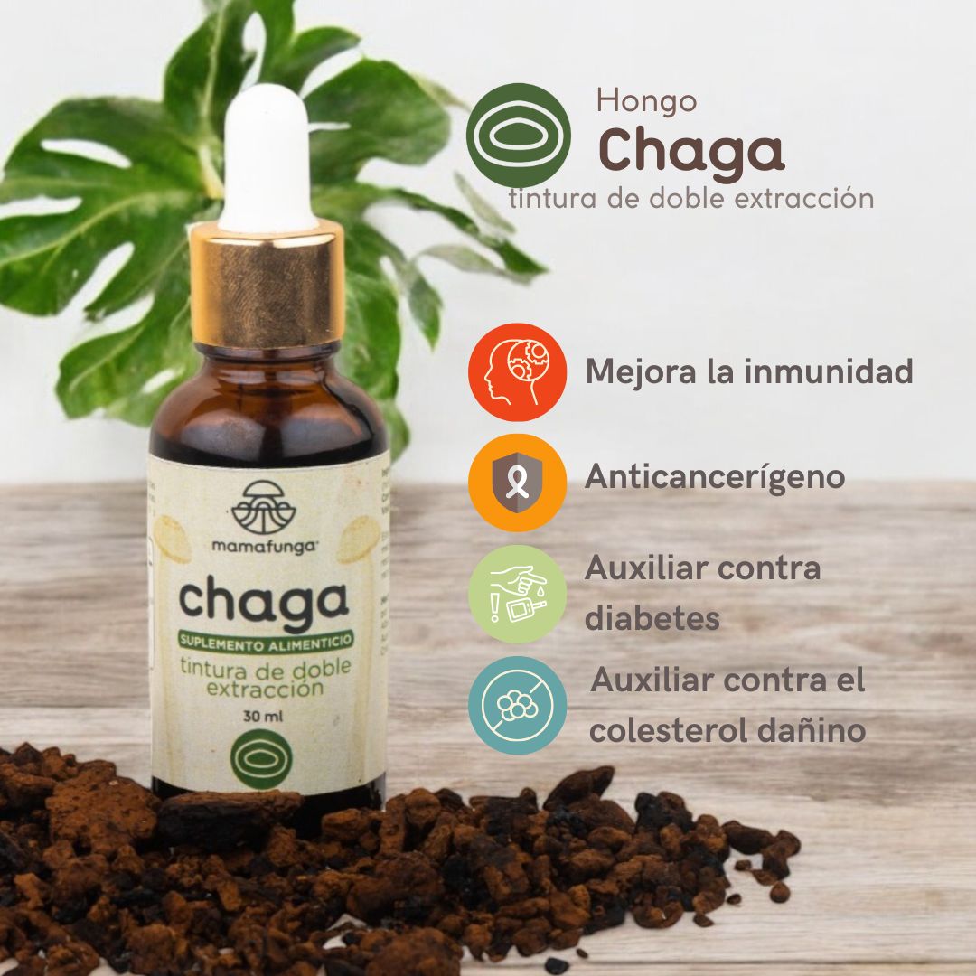 Chaga - Double Extraction Tincture