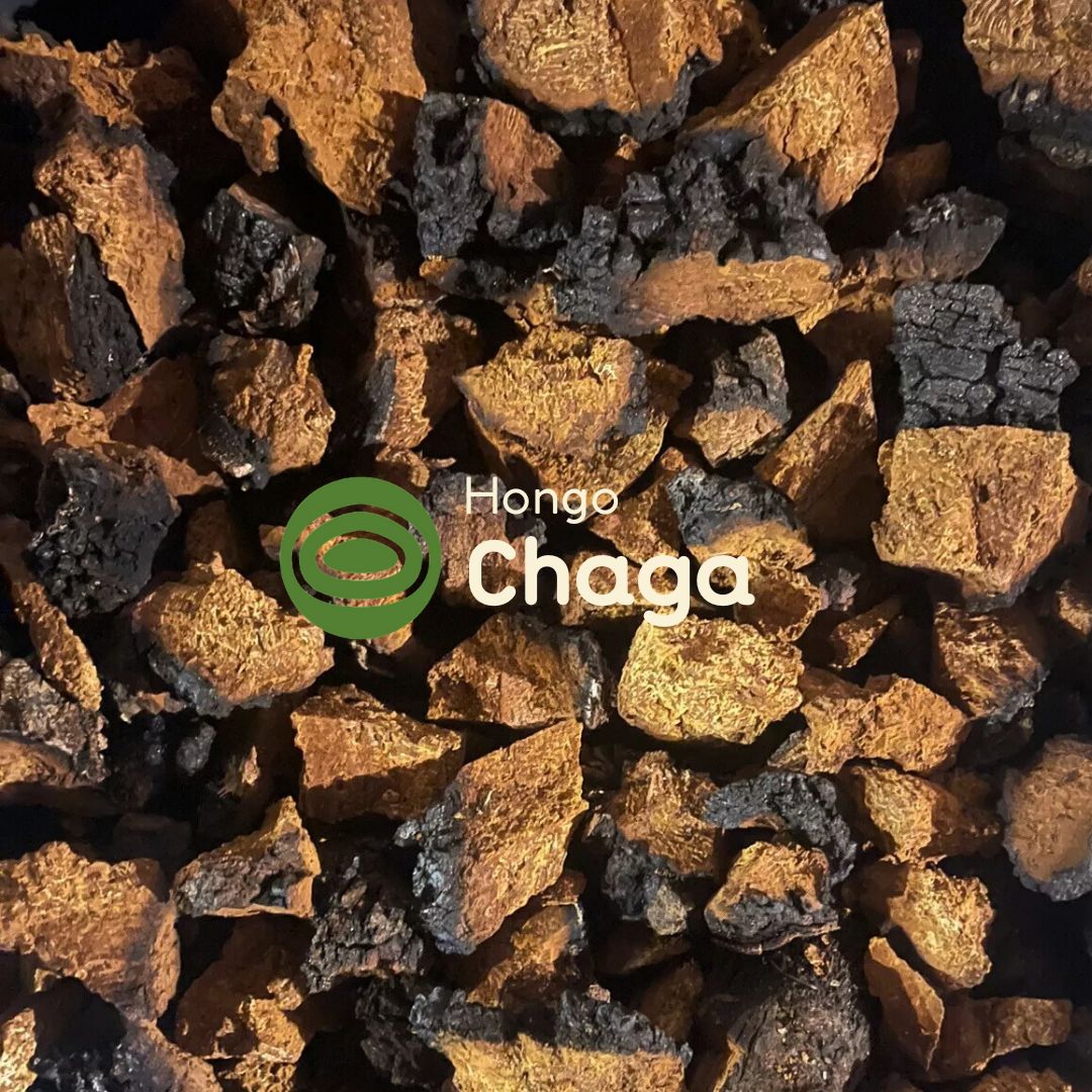 Chaga - Double Extraction Tincture