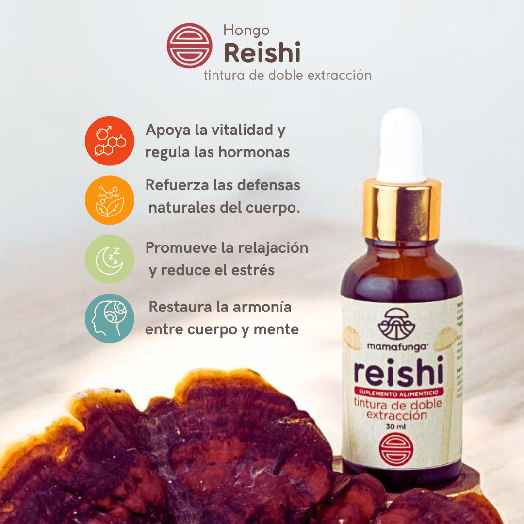 Reishi