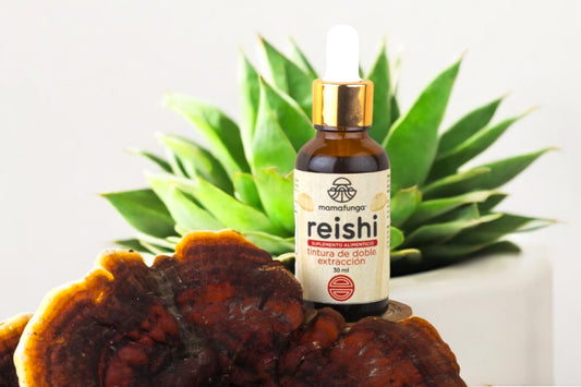 Reishi - Double Extraction Tincture